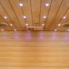 JI180-2 JJSPA JI180 – Infracrvena sauna